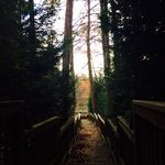 Blank.5252525 - @emily_shipley_ - Instagram