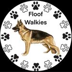Emily Shipp - @floof_walkies - Instagram