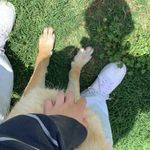 Emily Sinclair - @emilysinclair55 - Instagram