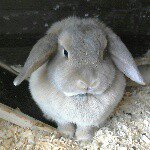 emily1234 - @emilysixsmith11 - Instagram