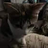 Emily - @emily._.six - TikTok