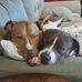 Emily Yvonne Slocum - Facebook