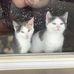Emily Slone - Facebook