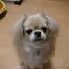 emilysnook885 - @emilysnook885 - TikTok