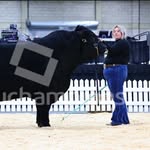 Emily - @emily_speers_ - Instagram