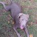 Emily Spruill - Facebook