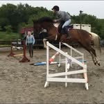 Emily - @emily.standen - Instagram