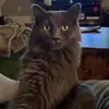Emily Stapf - @stapfytaffy - TikTok
