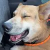 emilyjassstate - @emilyjassstate - TikTok