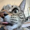 emily - @emilylaurensteck - TikTok