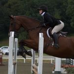 emily steckler - @emilysteckler_eq - Instagram