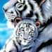 Emily Steffensen - Facebook