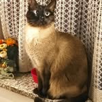 Emily Steinbach - @steinbach1772 - Instagram