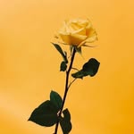 Emily Stenger - @emily.stenger_ - Instagram