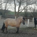 Emily - @emilys__tierwelt - Instagram