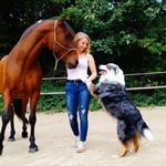 Emily‘s Tierphysio - @emilys_tierphysio - Instagram