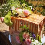 Emilys Tiers of Joy - @emilystiersofjoy - Instagram