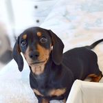 Emily Jezmin Stork - @emilyjezminstork - Instagram