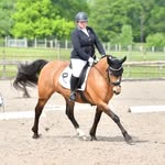 Emily Streeter - @emilystreeterdressage - Instagram