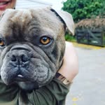 Emily - @emilystrout433 - Instagram