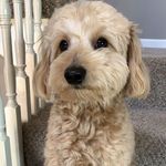 Emily Strout - @emily_strout192 - Instagram