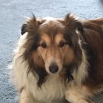 Emily Switzer - @eswitzer607 - Instagram