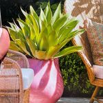Emily Taft - @emilytaftinteriordesign - Instagram