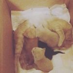Emily tedder - @emilytedder43 - Instagram