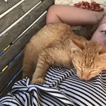 Emily tester - @em__uhhh__em - Instagram