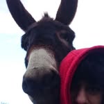 Emily Twitchell - @twitch.03 - Instagram