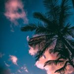 Emily vesper - @vesper.emily - Instagram