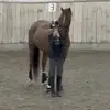 Emilyvestergaard - @emilyvestergaard - TikTok