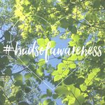 Emily Voss Graham - @budsofawareness - Instagram