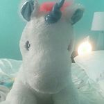 Emily Waguespack - @unicorn_lover_december31 - Instagram