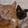 Emily Weightman - @emily.weightman - TikTok