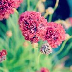 Emily Weldon Photography - @emily.weldon.photography - Instagram