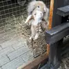 Emily Wessel - @htt.sky - TikTok