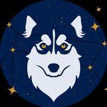 Emily Westfall (Delta-Surrey, BC) - @epsilondogtraining - Instagram