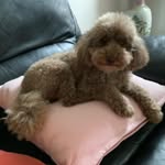 Rosie Whyte - @emily__whyte_ - Instagram