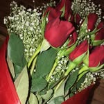 emily wilbert - @emily.wilbert123 - Instagram