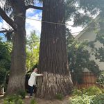 Emily Wilderman - @emilwil - Instagram