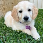 Emily Winch - Facebook