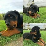 Emily And Winston - @emily_winston17 - Instagram