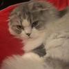 Emily Wireman445 - @emilywireman445 - TikTok