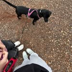 Emily Withers - @emmy_ejw_life - Instagram