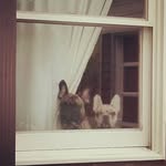 Emily Witman - @fkingfrankfiona - Instagram