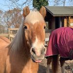 @emil_ywulff - Instagram