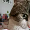 Emily Wunderlich - @emilywunderlich - TikTok