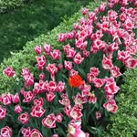 EminDilek - @dilekeemin - Instagram