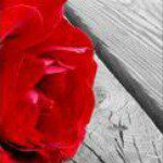 Emine Kartal - @eemineisilay - Instagram